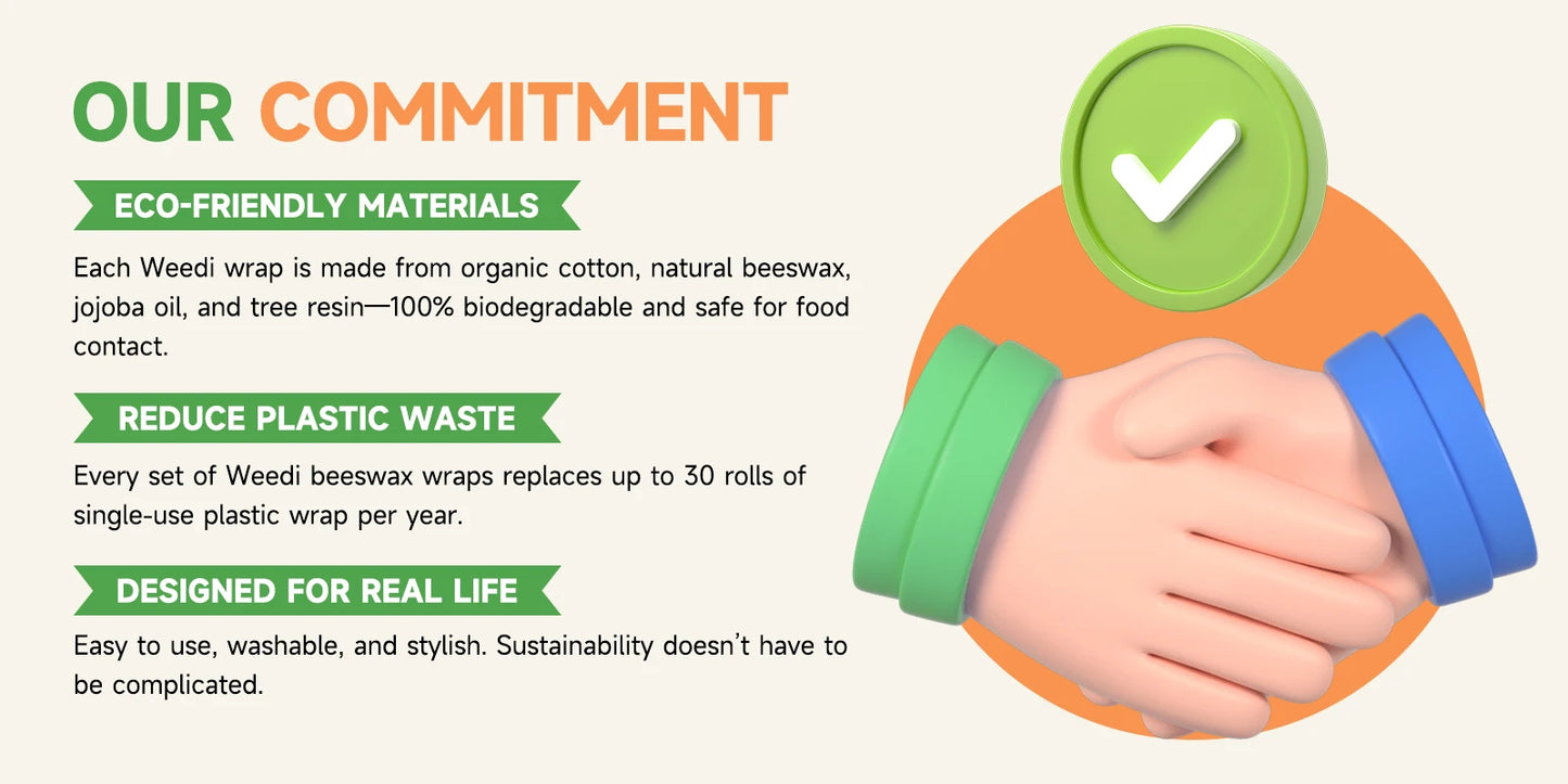 Infographic detailing eco-friendly benefits of plastic-free kitchen storage with a green checkmark and handshake illustration.